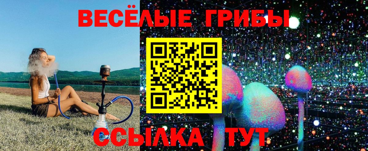 Псилоцибиновые грибы Cubensis Янаул
