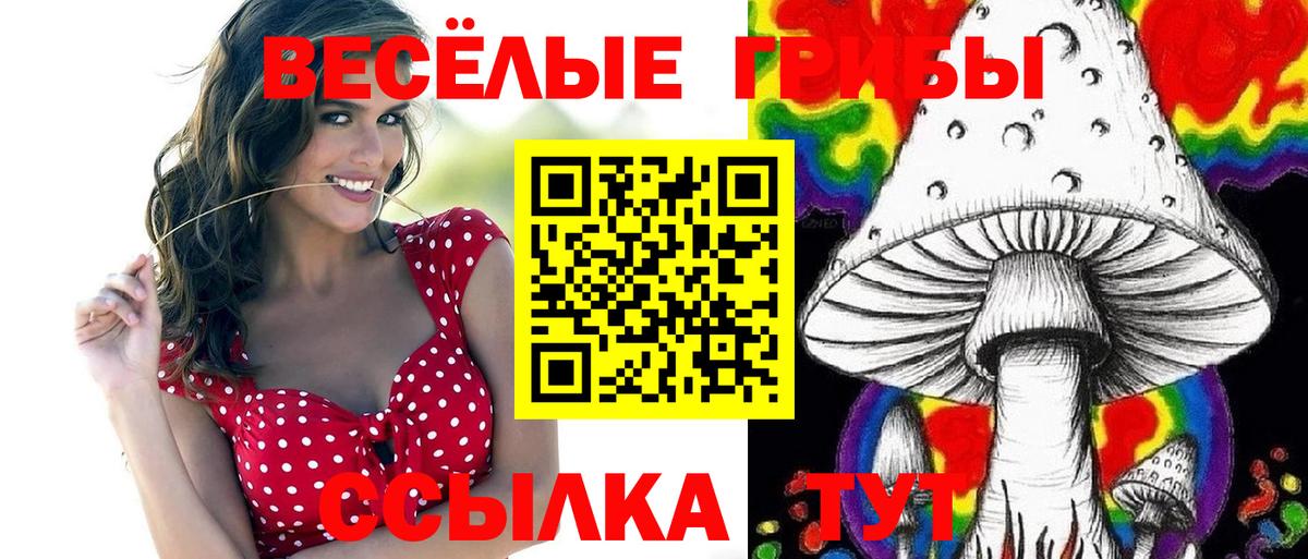 Янаул  Галлюциногенные грибы MAGIC MUSHROOMS  Вход с VPN 